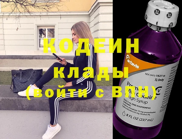 индика Бронницы