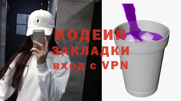 индика Бронницы