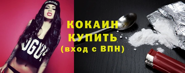 индика Бронницы