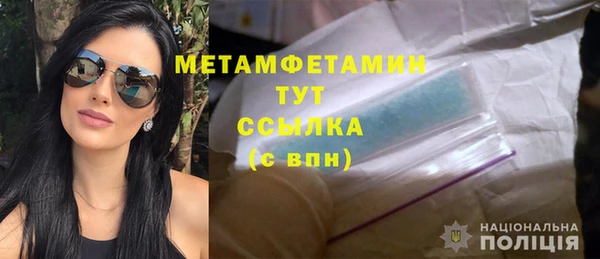 индика Бронницы