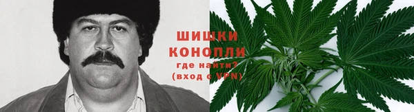 индика Бронницы