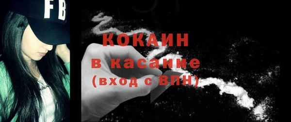 индика Бронницы