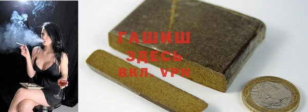 индика Бронницы