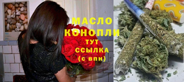 тгк Бородино