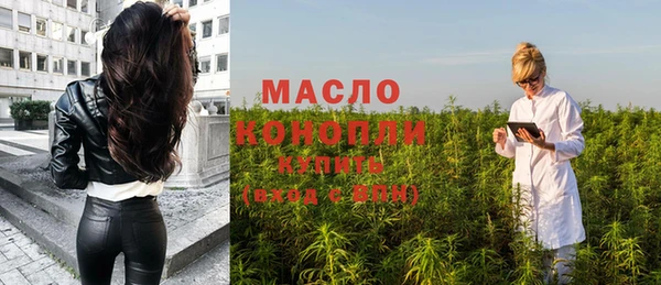 тгк Бородино