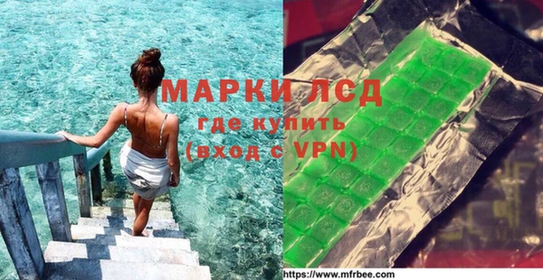 индика Бронницы