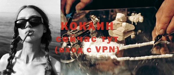 индика Бронницы