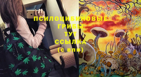 тгк Бородино