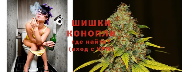 индика Бронницы