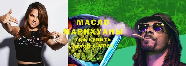 индика Бронницы