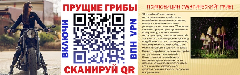 Купить закладки  Макаров  Псилоцибиновые грибы мицелий 